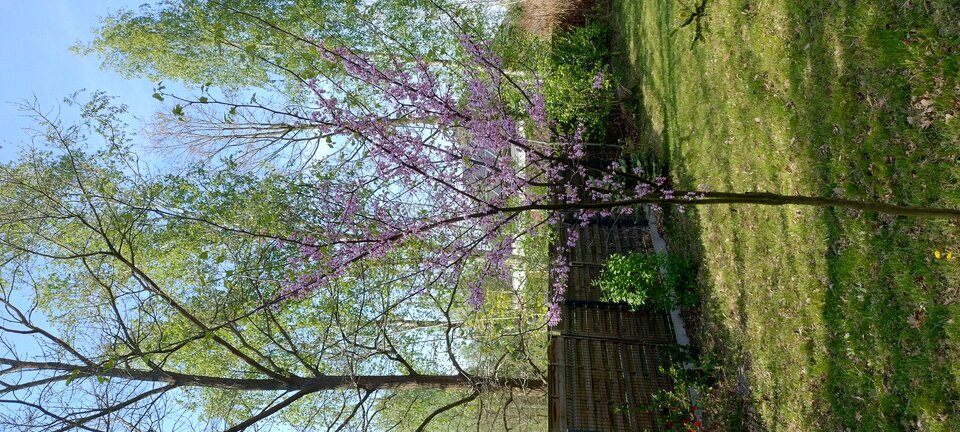 1000003698.jpg - Geralt197