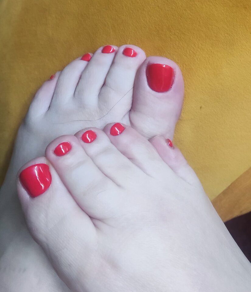 IMG_20250424_182151.jpg - Puch_chatka