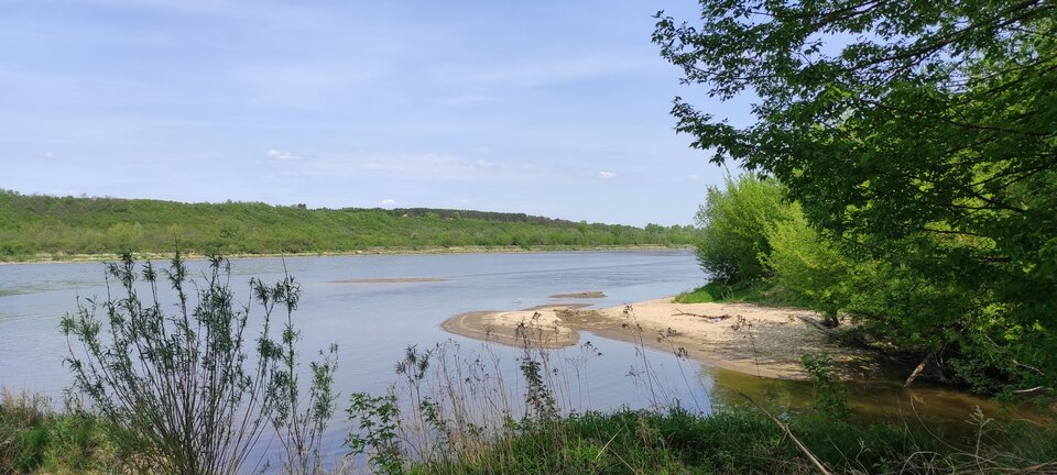 IMG_20250424_123313.jpg - ParaKatharsis