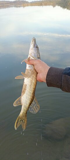 IMG_20241023_170023_588.jpg