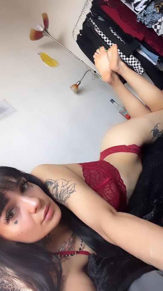 photo_1_2025-02-15_10-04-01.jpg - KlaudiaKurwisko