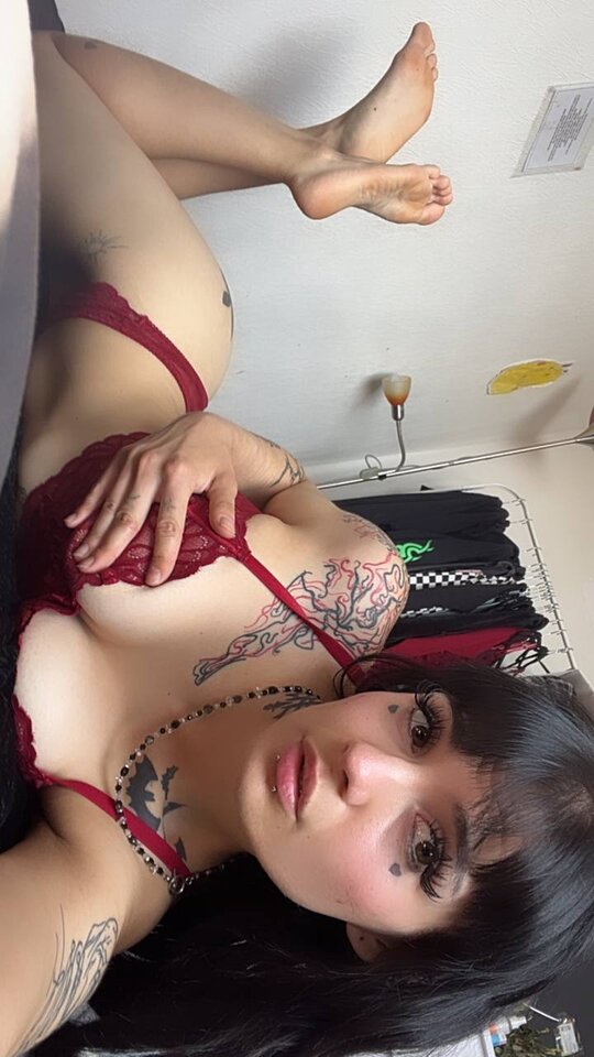 photo_6_2025-02-15_10-04-01.jpg - KlaudiaKurwisko