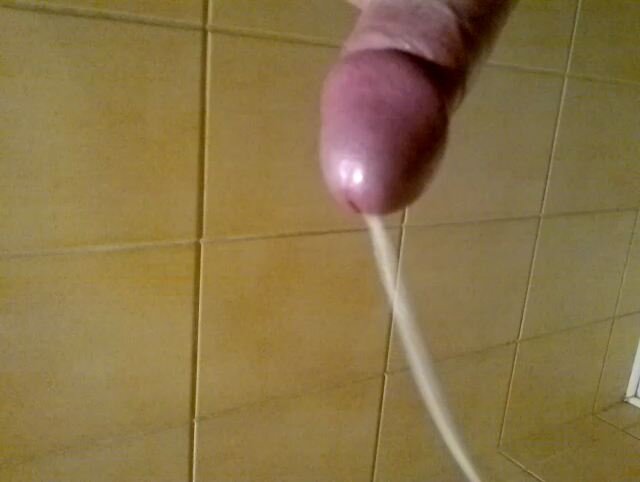 vlcsnap-2017-02-10-11h48m43s156.jpg - Adi77_poz