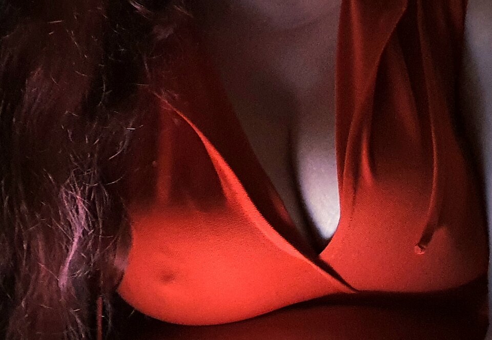 20250420_211613.jpg - Dzwiedziowie