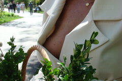 DSC03544.JPG