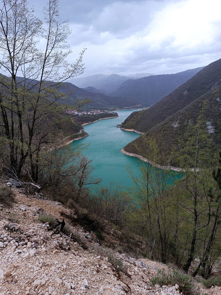 IMG_20250417_131203.jpg - JABEEA7070