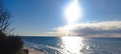 IMG_20250425_181737.jpg