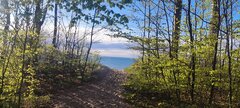 IMG_20250425_181557.jpg