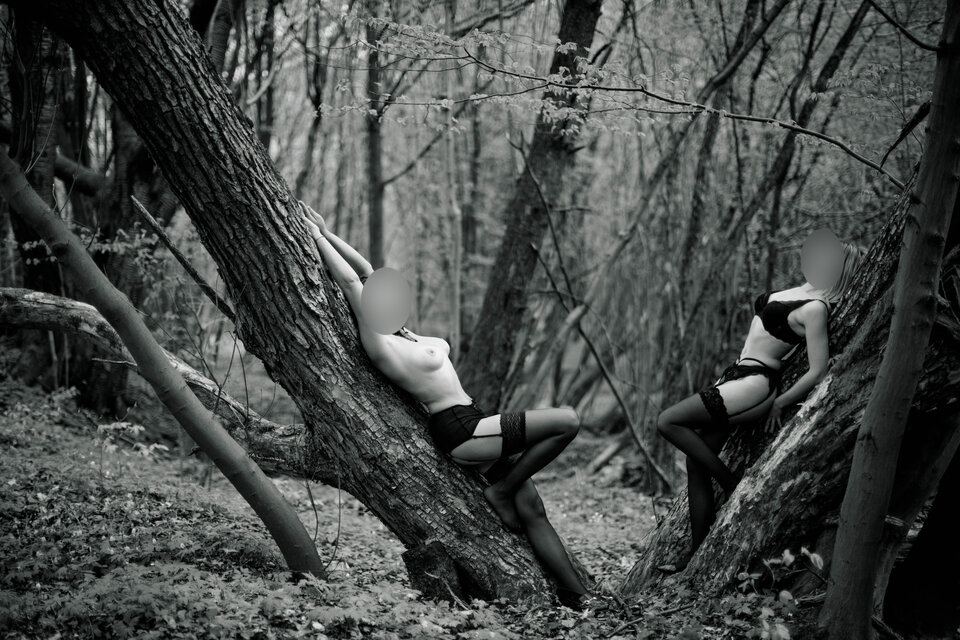 sesyjnie - lamiracle