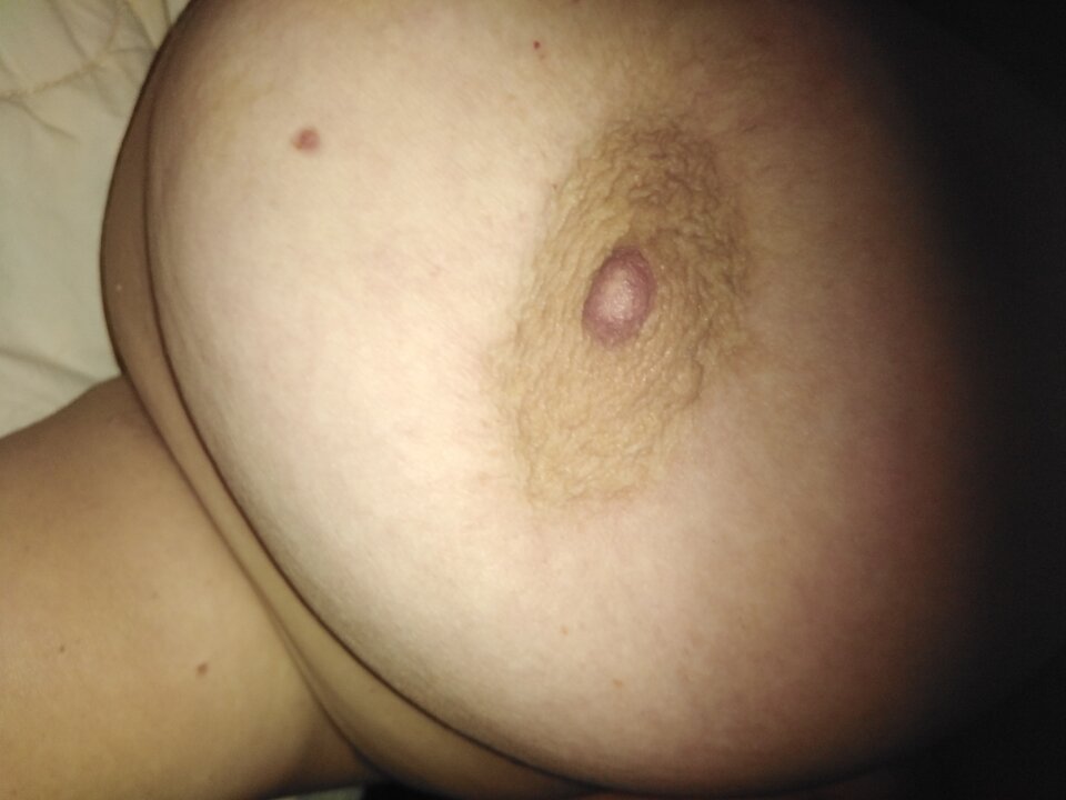 IMG_20250426_042622.jpg - berna1807