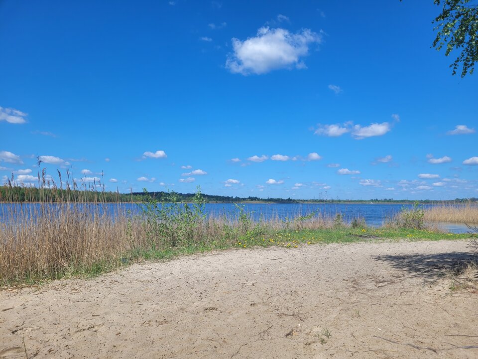 20250426_120021.jpg - Marcin_grzybowice