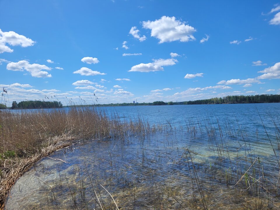 20250426_124741.jpg - Marcin_grzybowice