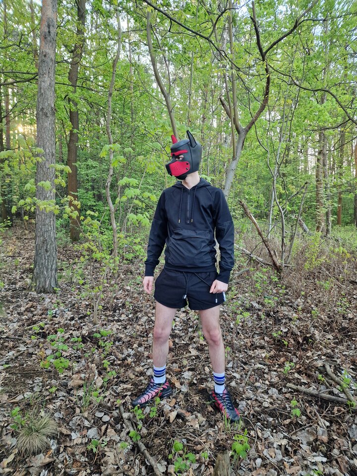 20250426_064411.jpg - Kry21cm