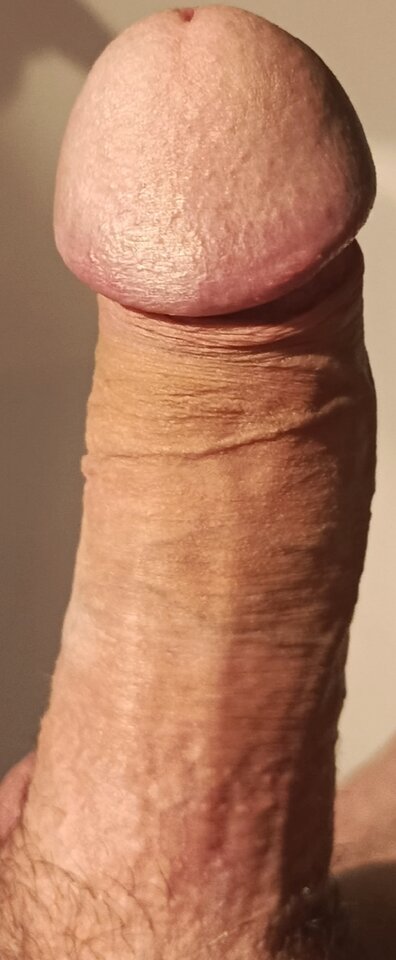 1745699362337.jpg - zaq1112