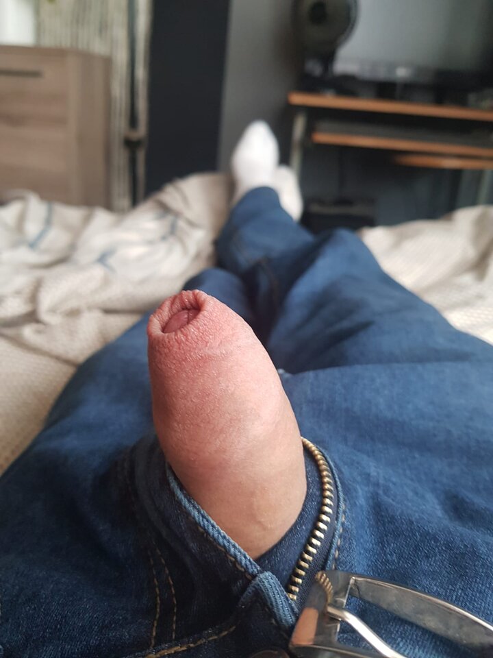 IMG-20250426-WA0002.jpg - Tomek1975rok