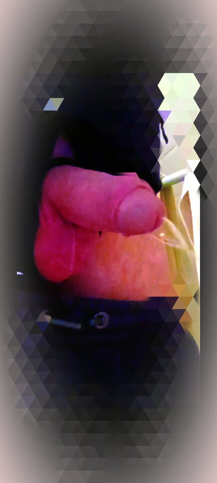 IMG_20250427_013536.jpg - Hjk18