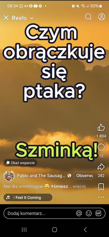 1000036158.jpg - Bi_para_KiP