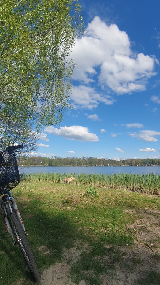 20250427_162534.jpg - Frelka_ze_wsi