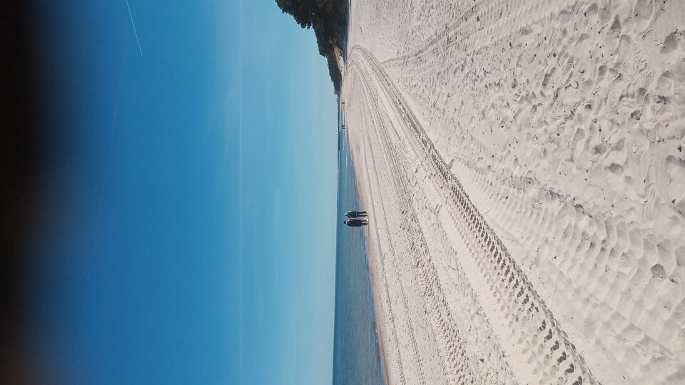 20250427_110812.jpg - Mrowka72