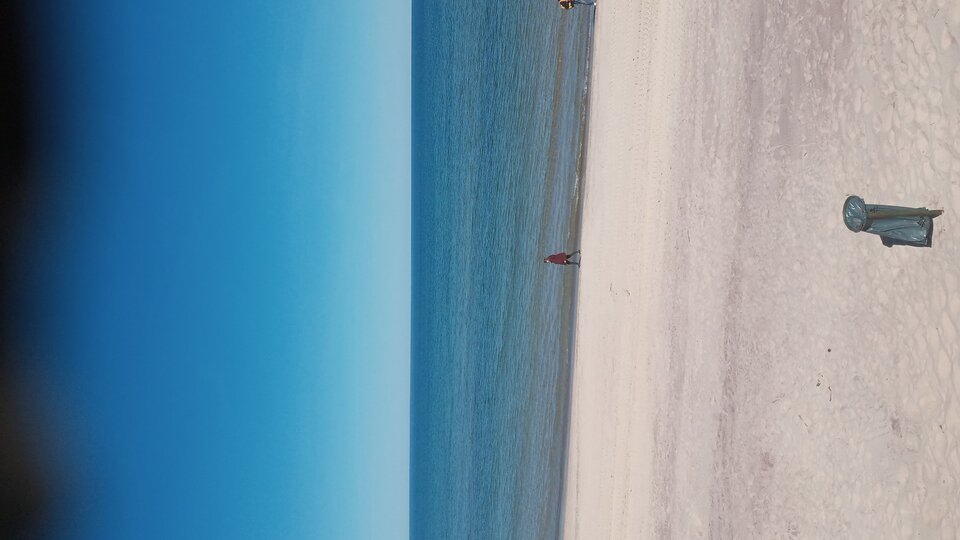 20250427_110741.jpg - Mrowka72