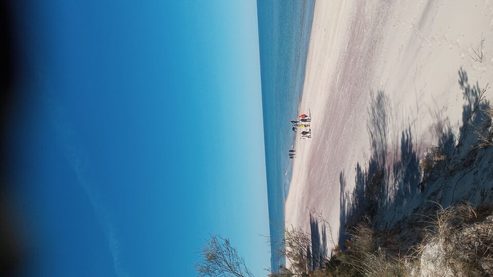 20250427_110732.jpg - Mrowka72