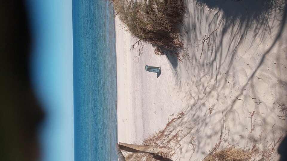 20250427_110712.jpg - Mrowka72