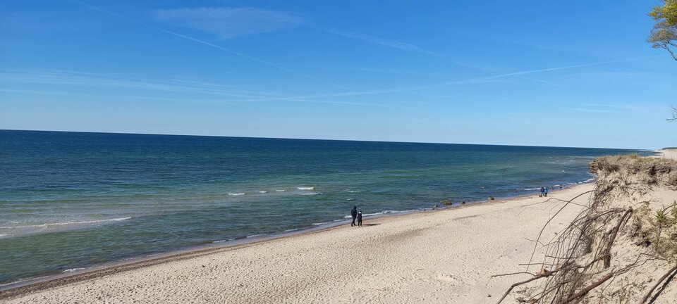 IMG_20250515_163381.jpg - edytkaandrzej