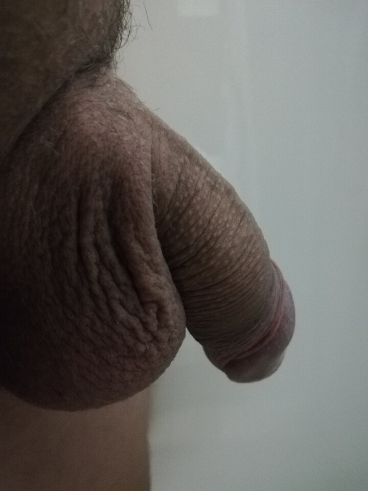 IMG_20250427_175753.jpg - para831