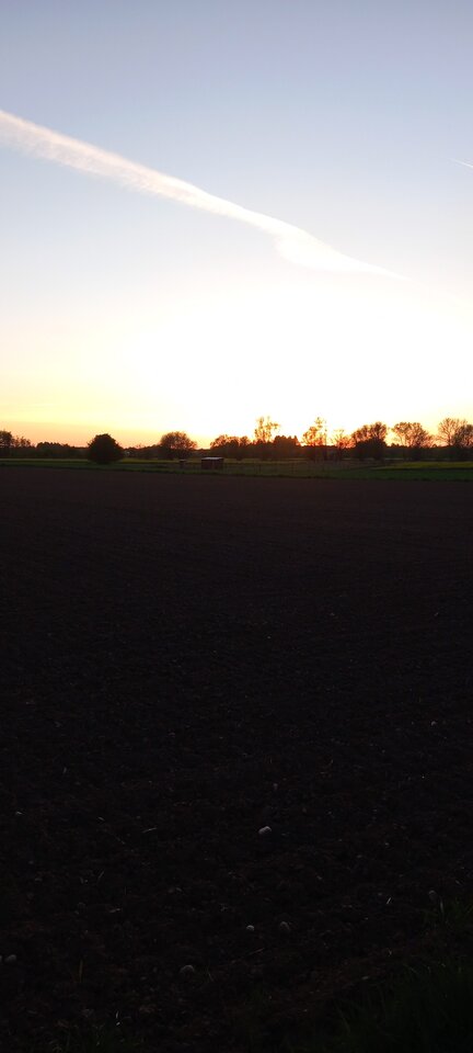 1000013794.jpg - Pael45