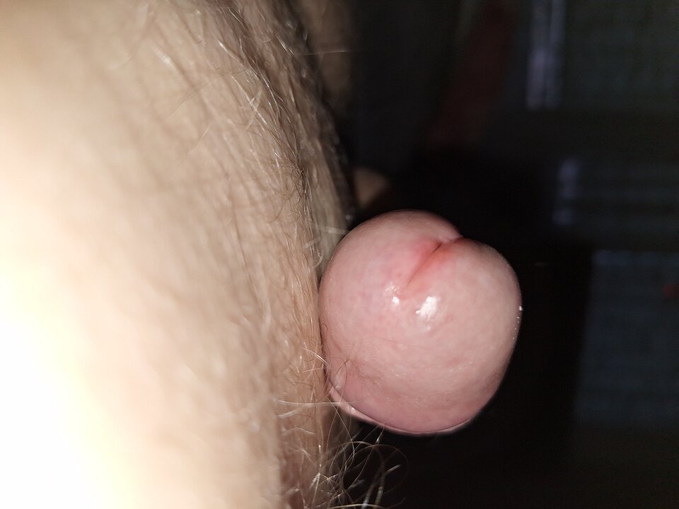 1000021428.jpg - Adamus_1976