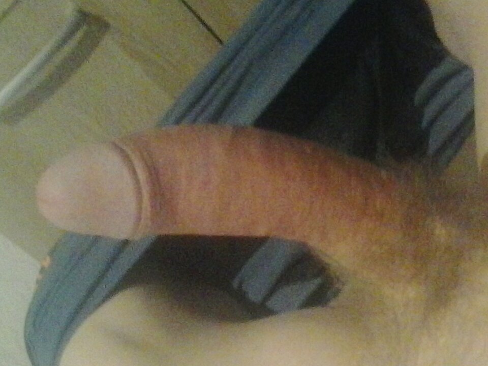 20250428_044747.jpg - 11igor11