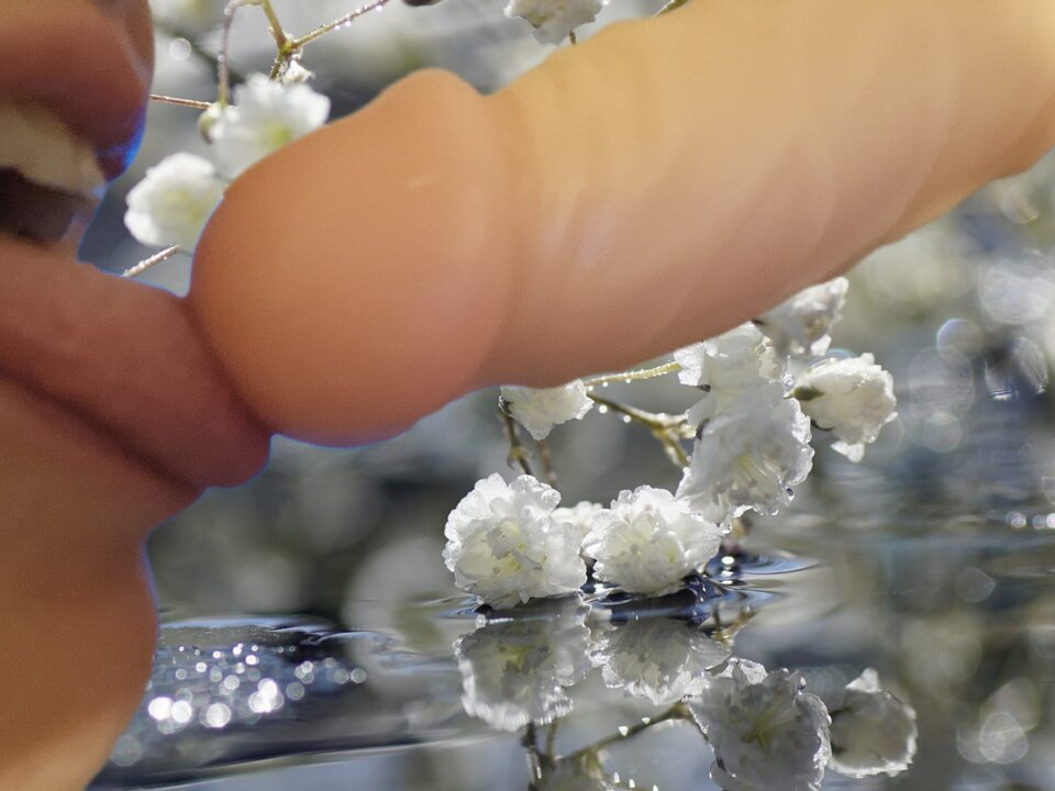 1000031142.jpg - Niewyczerpalna_1