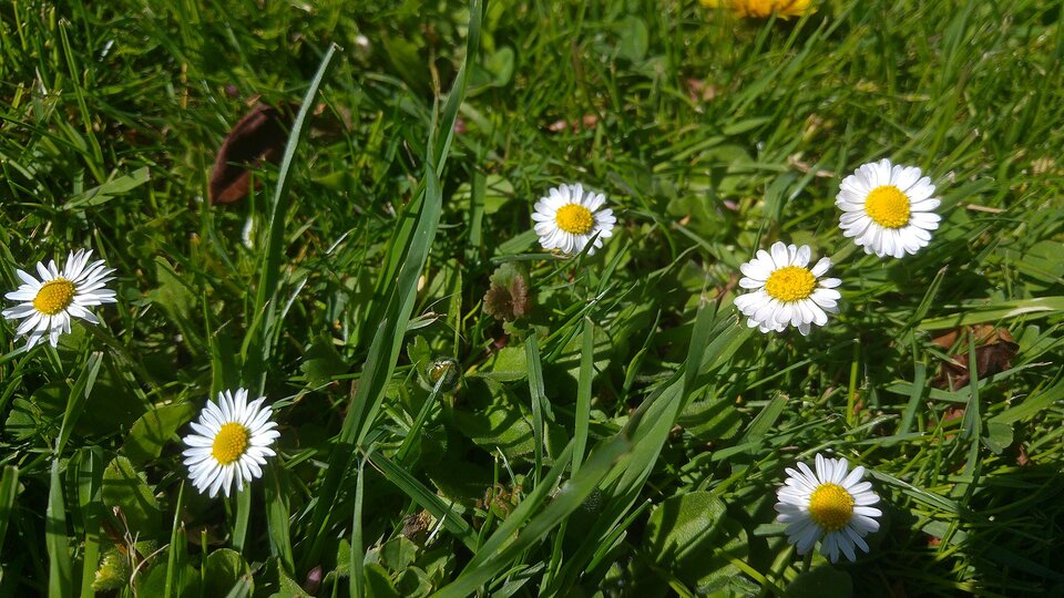 stokr.jpg - dariusmat