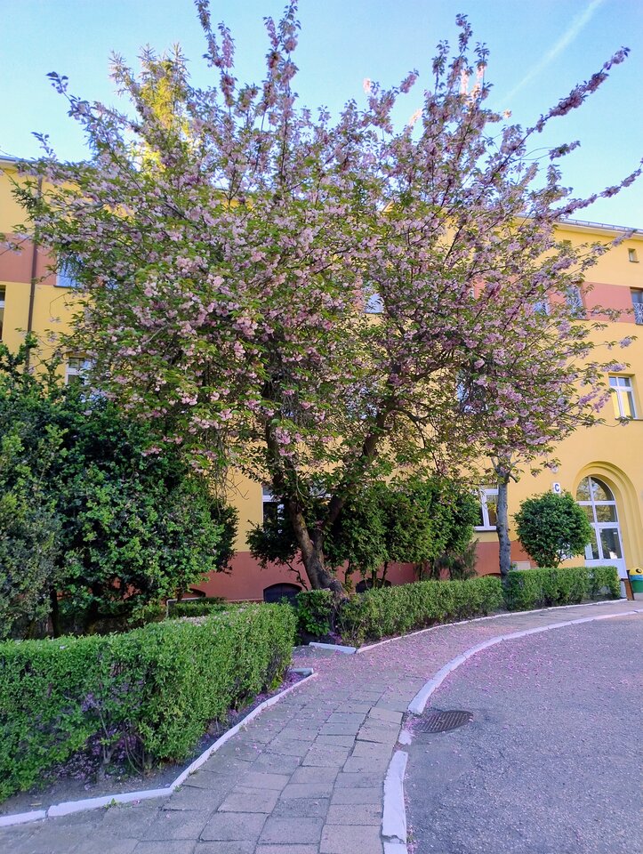 1000037970.jpg - Honey1970