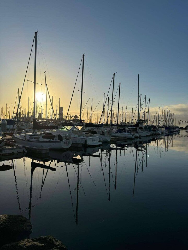 Los Angeles - falcons