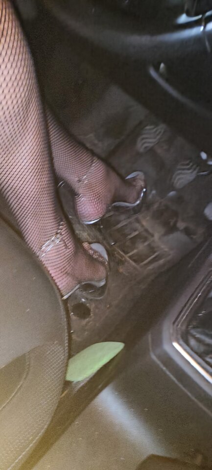 IMG20250429003654~2.jpg - paulstarkface