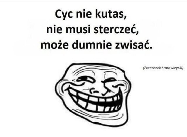 494426305_1444064043637267_5151704230174011297_n.jpg - Stuntmann