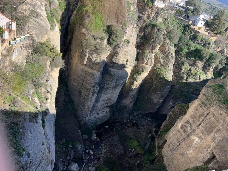 A2239EC6-77F2-4165-BBDB-1D7DE9E6D2C7.jpeg - _parka