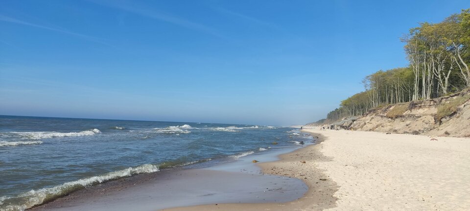 IMG_20250515_162379.jpg - edytkaandrzej