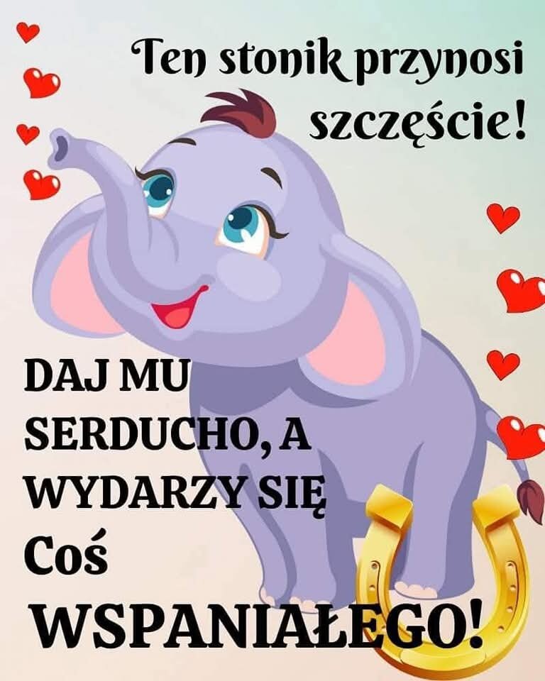 FB_IMG_1736357169975.jpg - lubielizacloda