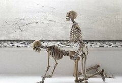 nigdy nie odpuszczajcie sexu...