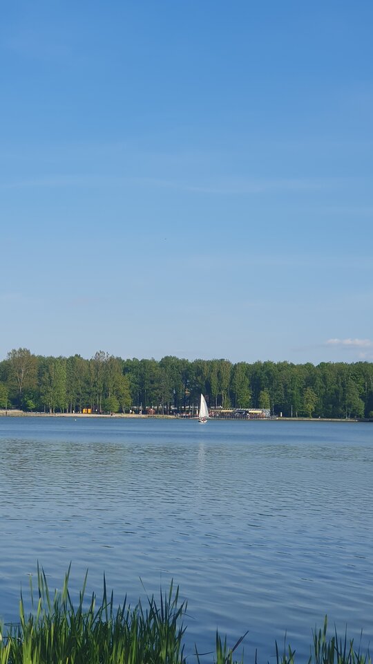 20250430_165932.jpg - Frelka_ze_wsi