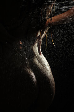 sesja zdjęciowa w Łodzi