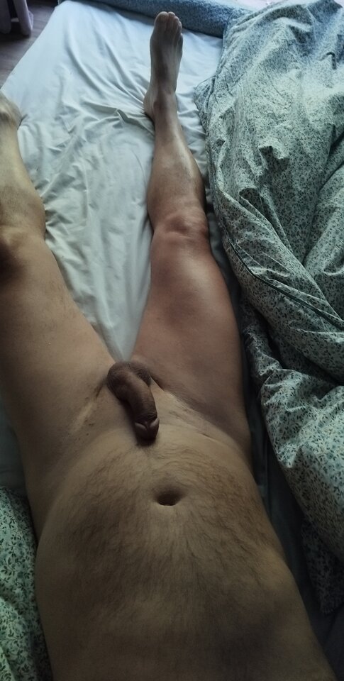 IMG_20250430_201715.jpg - Borsuczki1970