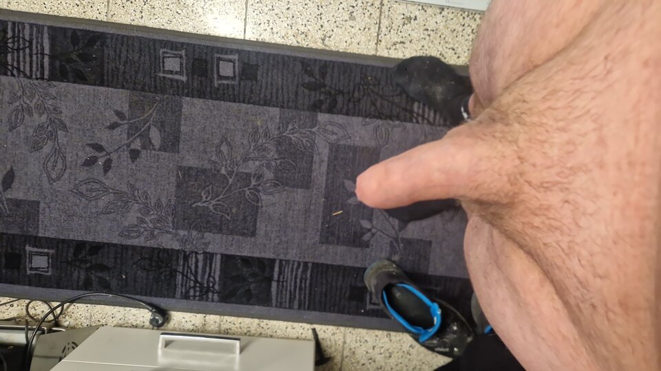 IMG-20250424-WA0002.jpeg - peterwrc