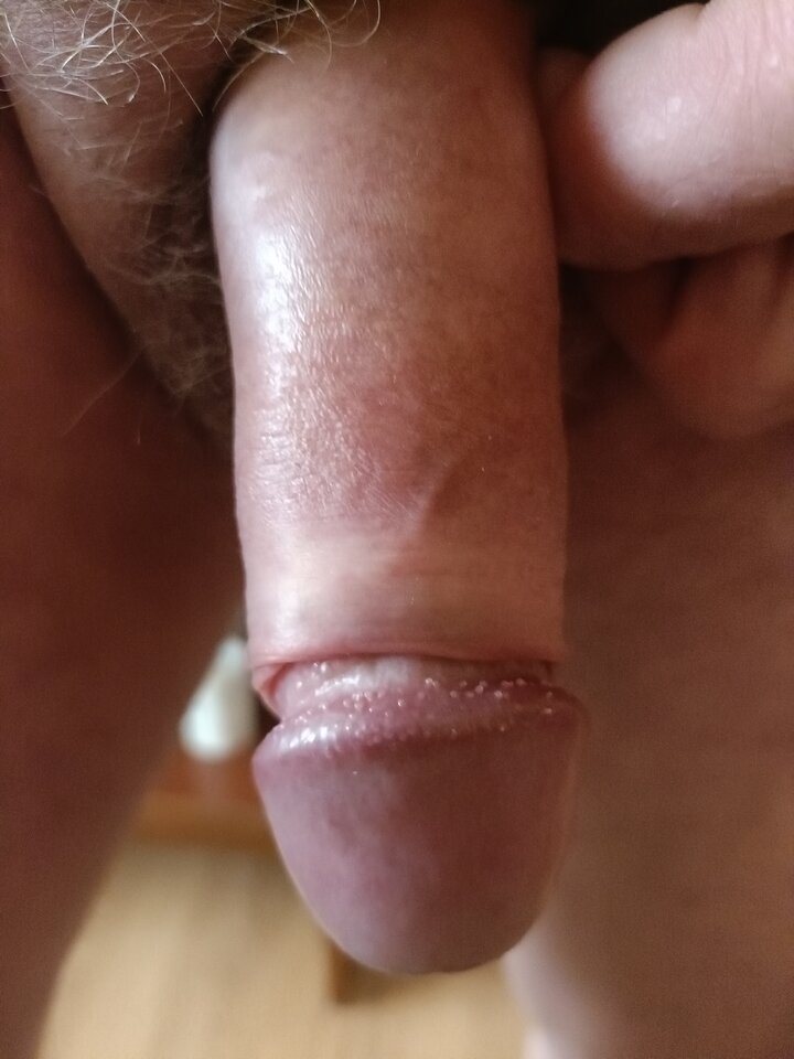 17460901827693835541346135535621.jpg - ardas1