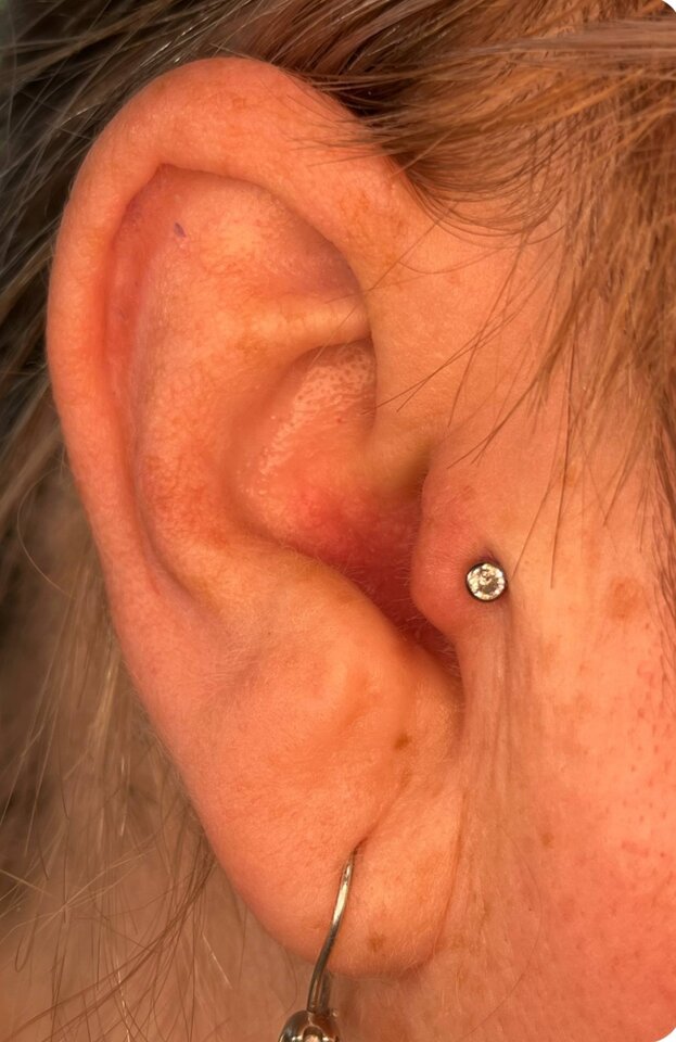 IMG_20250501_010903.jpg - Kwiatuszek37