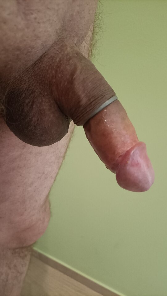 IMG20250501145137.jpg - Bruno9