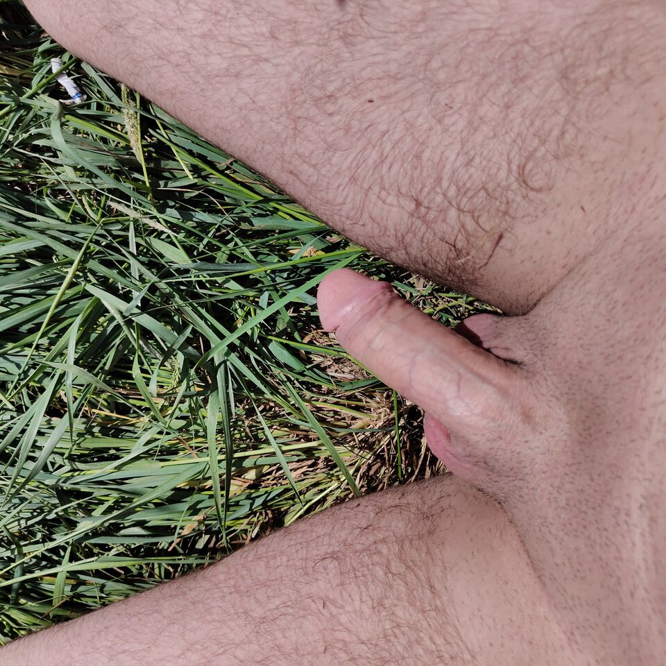 1000009068.jpg - samsobi