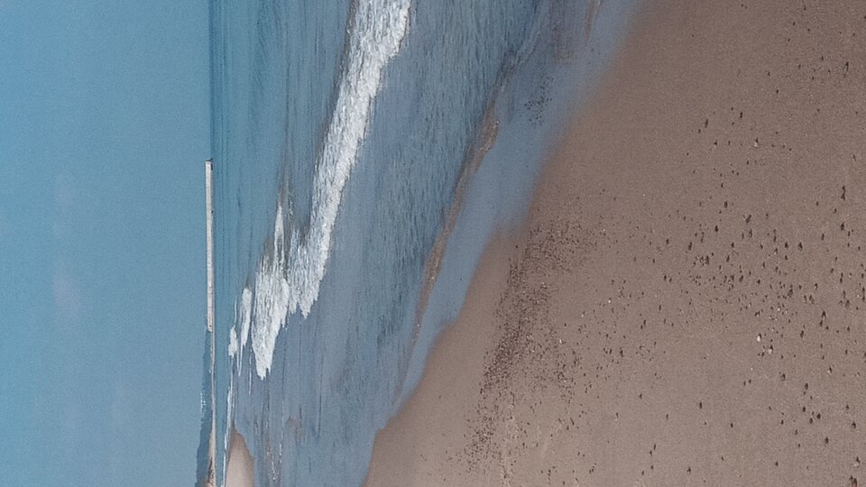 20250501_094056.jpg - Mrowka72